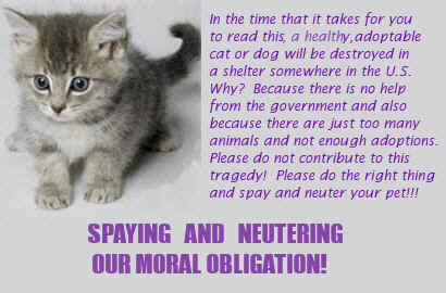 animals cry for help essay